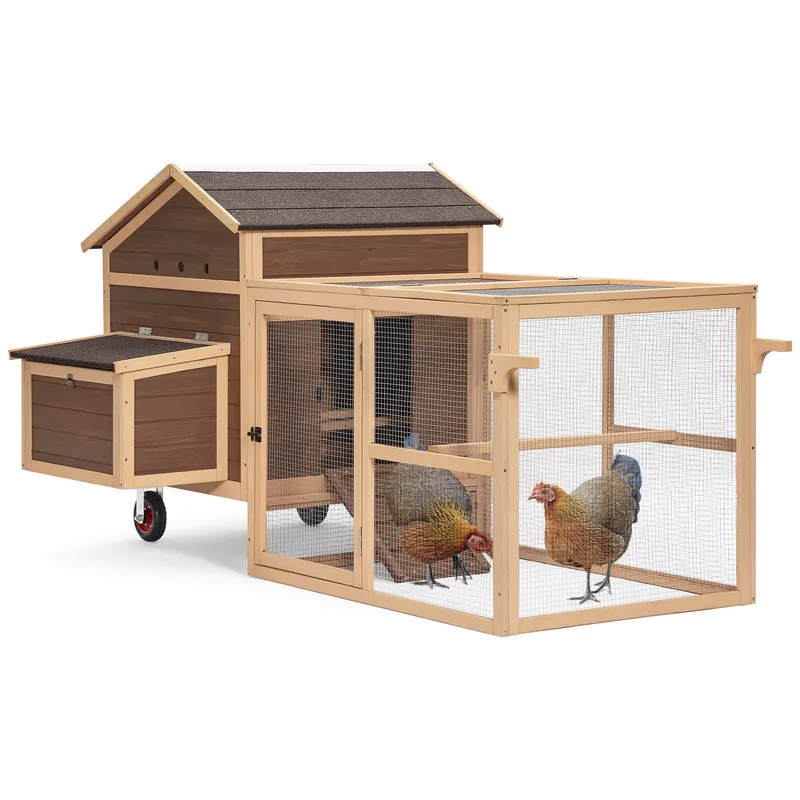 Large Sustainable Wooden Chick - Sustainable Living Walla Walla review and price